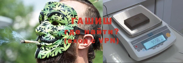 индика Белокуриха