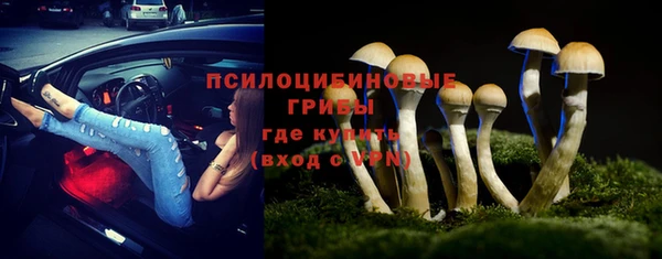 стаф Богданович