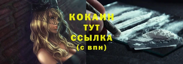 стаф Богданович
