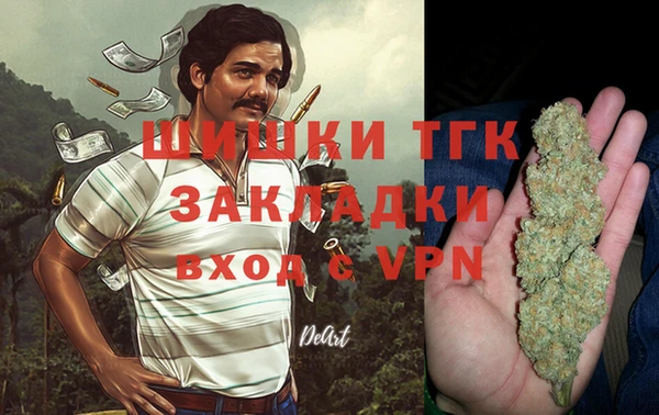 спиды Тында