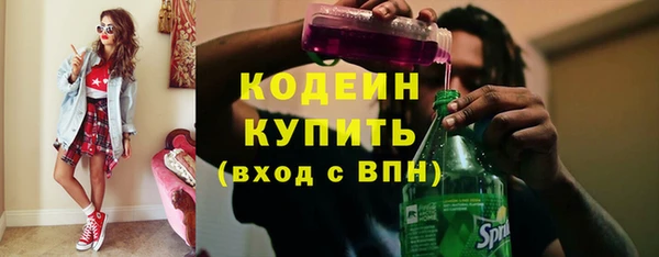 стаф Богданович