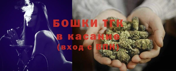 ECSTASY Богородицк