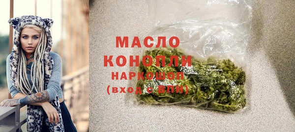 ECSTASY Богородицк