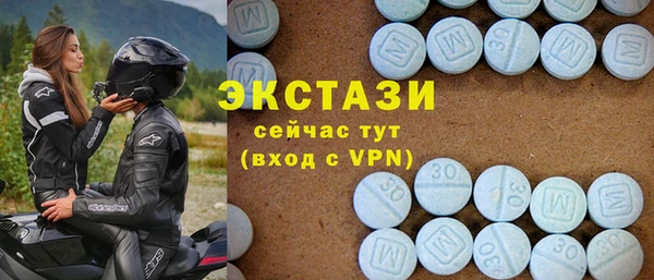 ECSTASY Богородицк