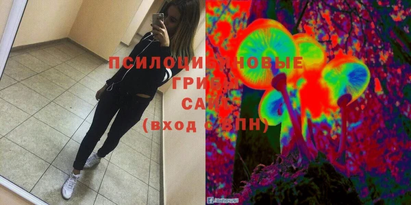 стаф Богданович