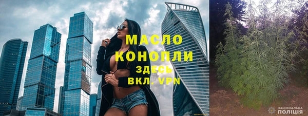 стаф Богданович