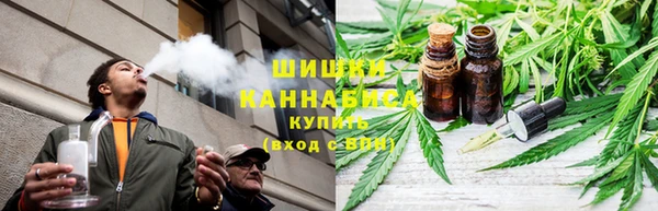 стаф Богданович