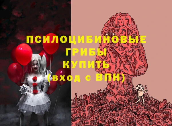 стаф Богданович