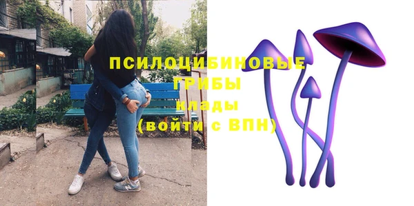 ECSTASY Богородицк