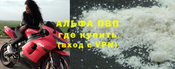 ECSTASY Богородицк