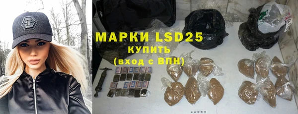 ECSTASY Богородицк