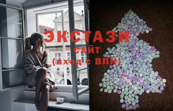 ECSTASY Богородицк