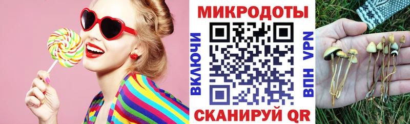 Галлюциногенные грибы Cubensis  Гусев 