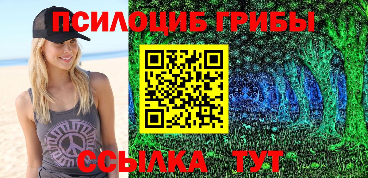 Галлюциногенные грибы GOLDEN TEACHER  Вход с VPN  наркотики  Гусев 